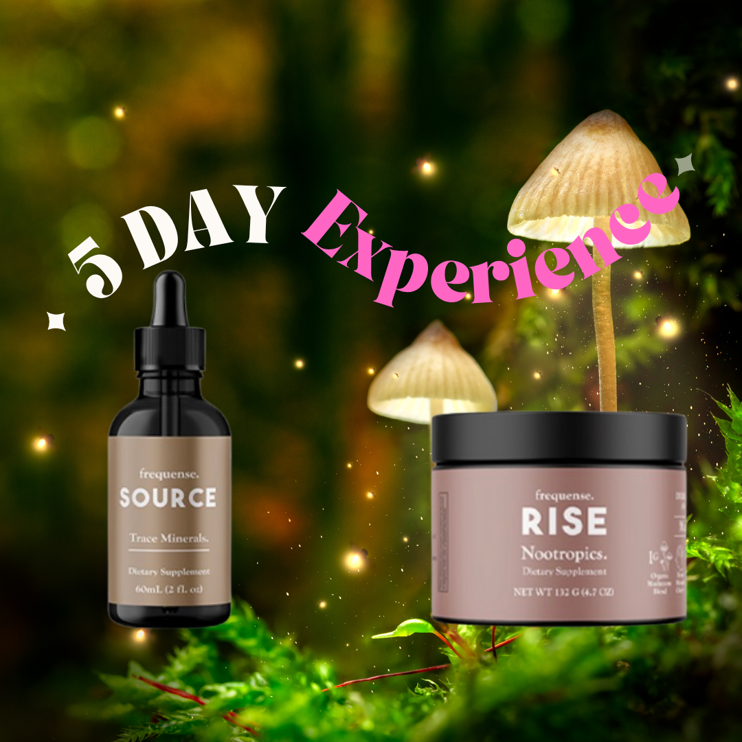 5 Day Rise & Vibe Experience